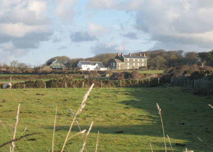 Skomer View Solva